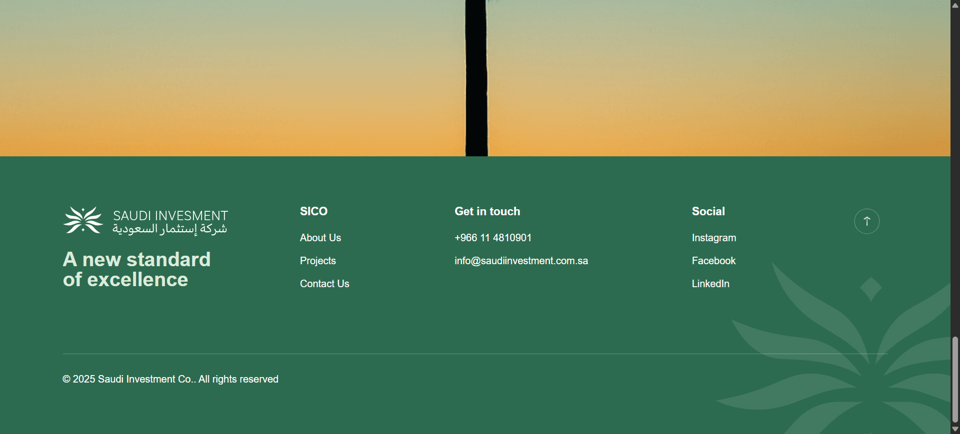 Saudi Investment Company318